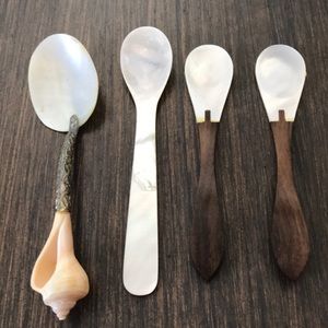 4 Shell Spoons Unique & Different